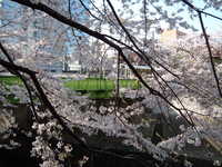  dscf0400.jpg 
