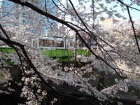  dscf0401.jpg 