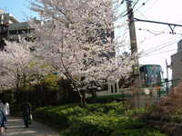  dscf0402.jpg 