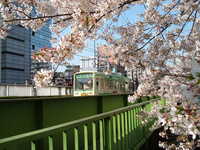  dscf0403.jpg 