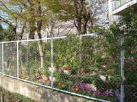  dscf0404.jpg 