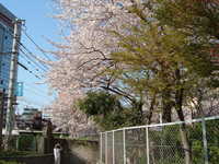  dscf0405.jpg 