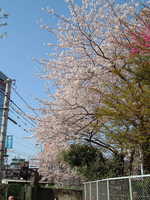  dscf0407p.jpg 