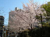 dscf0408.jpg 