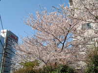  dscf0409.jpg 