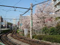  dscf0410.jpg 