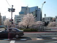  dscf0411.jpg 