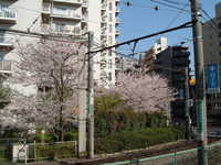  dscf0412.jpg 
