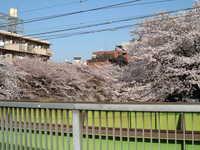  dscf0415.jpg 
