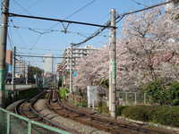  dscf0418.jpg 
