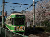  dscf0420.jpg 