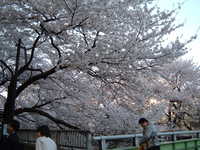  dscf0423.jpg 