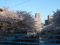  dscf0424.jpg 
