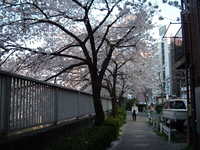  dscf0425.jpg 