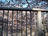  dscf0427.jpg 