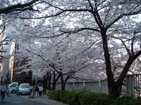  dscf0430.jpg 