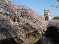  dscf0431.jpg 