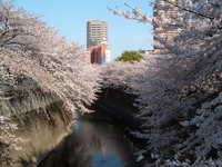  dscf0432.jpg 