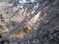 dscf0433.jpg 