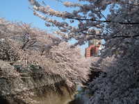  dscf0435.jpg 
