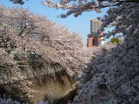  dscf0437.jpg 