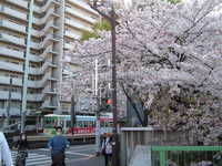  dscf0438.jpg 