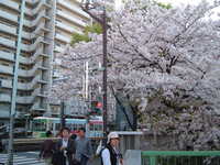  dscf0439.jpg 