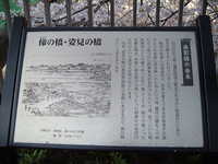  dscf0440.jpg 