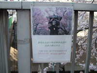  dscf0441.jpg 