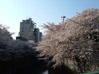  dscf0442.jpg 