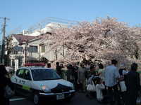  dscf0443.jpg 