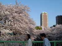  dscf0445.jpg 