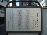 dscf0448.jpg 