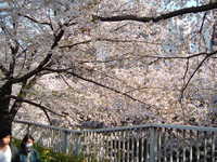  dscf0450.jpg 