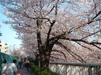  dscf0452.jpg 