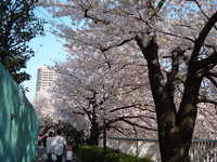  dscf0453.jpg 