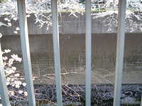  dscf0457.jpg 