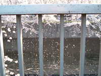  dscf0458.jpg 