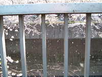  dscf0459.jpg 