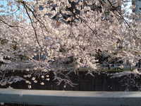  dscf0460.jpg 