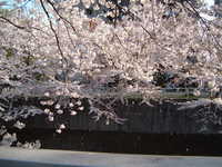  dscf0461.jpg 