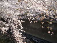  dscf0465.jpg 