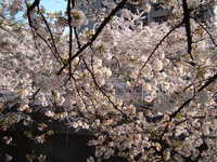  dscf0471.jpg 