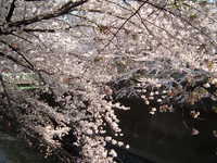 dscf0472.jpg 
