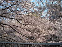  dscf0474.jpg 