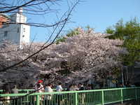  dscf0475.jpg 