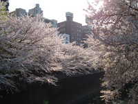  dscf0476.jpg 