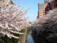  dscf0477.jpg 