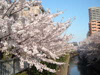  dscf0478.jpg 