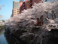  dscf0479.jpg 